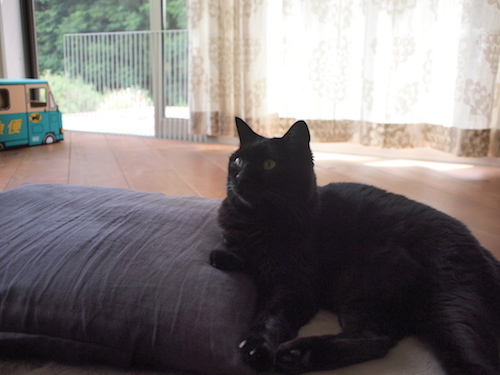実り_a0335560_01333844.jpg