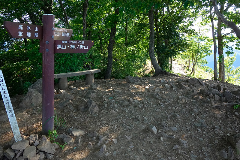 オッサン登山の会・棒ノ峰の段-3 2017年6月3日_d0123571_21115348.jpg