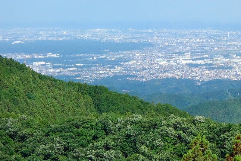 オッサン登山の会・棒ノ峰の段-3 2017年6月3日_d0123571_2113563.jpg