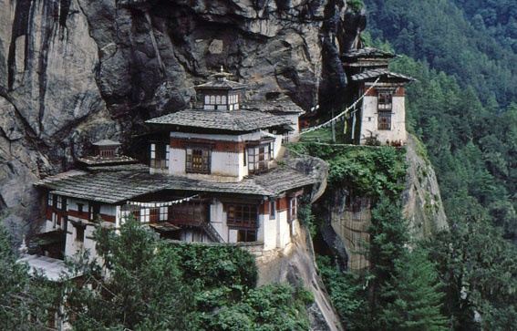 e0116578_8593182.jpg