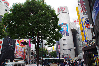 b0056983_22341081.jpg