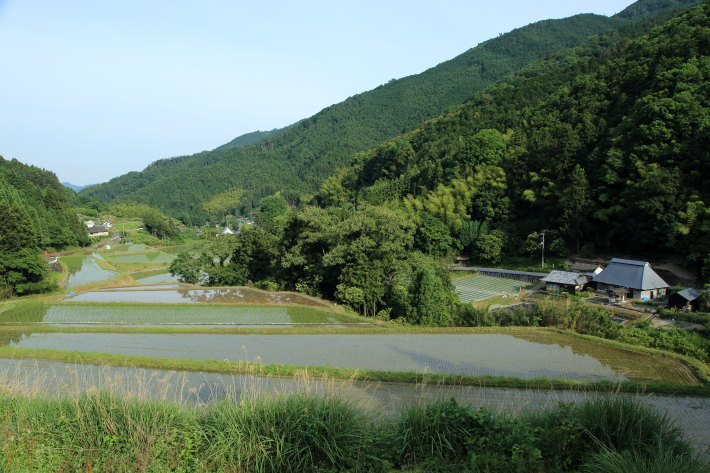 c0358784_12555927.jpg