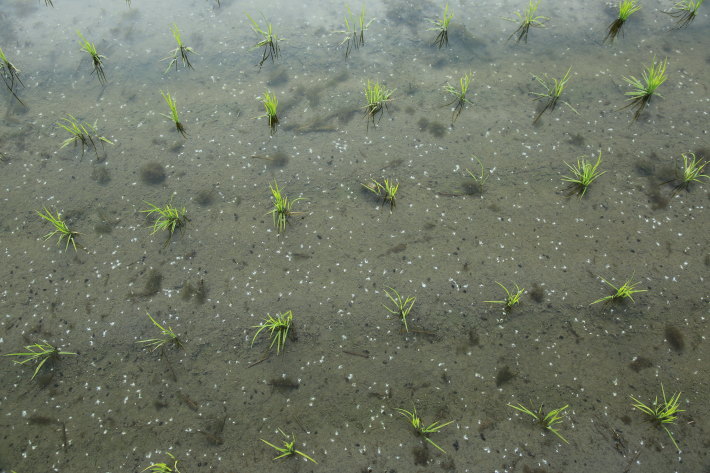 c0358784_12594339.jpg