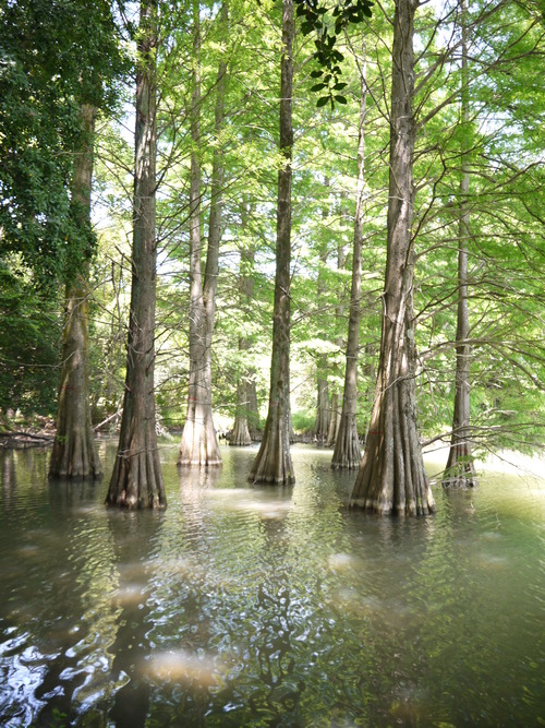 d0324385_13251040.jpg