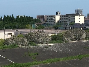 先週末_b0090890_18151885.jpg