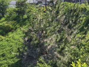 先週末_b0090890_18151931.jpg