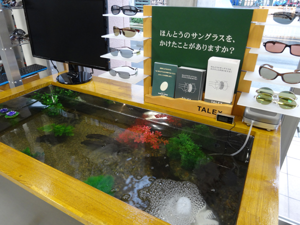 日本初！金栄堂ではお店の中で本当の釣りが出来、偏光レンズ・サングラスの体感が出来ます！_c0003493_10194508.jpg
