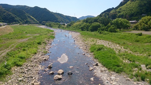 様変わりした藁科川 気ままなangler 様変わりした藁科川 気ままなangler