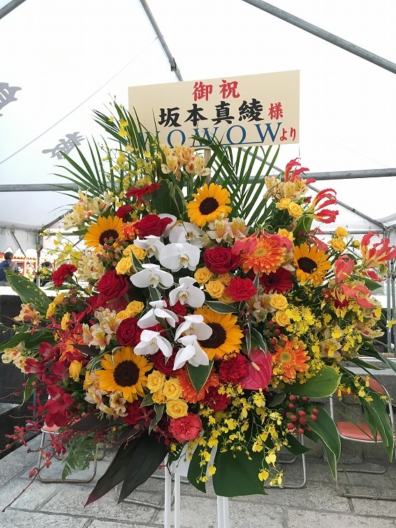 坂本真綾 Open Air Museum 17 2日目 声優ライブ日記 坂本真綾 Open Air Museum 17 2日目 声優ライブ日記