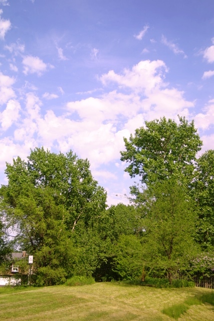 c0062603_12472341.jpg
