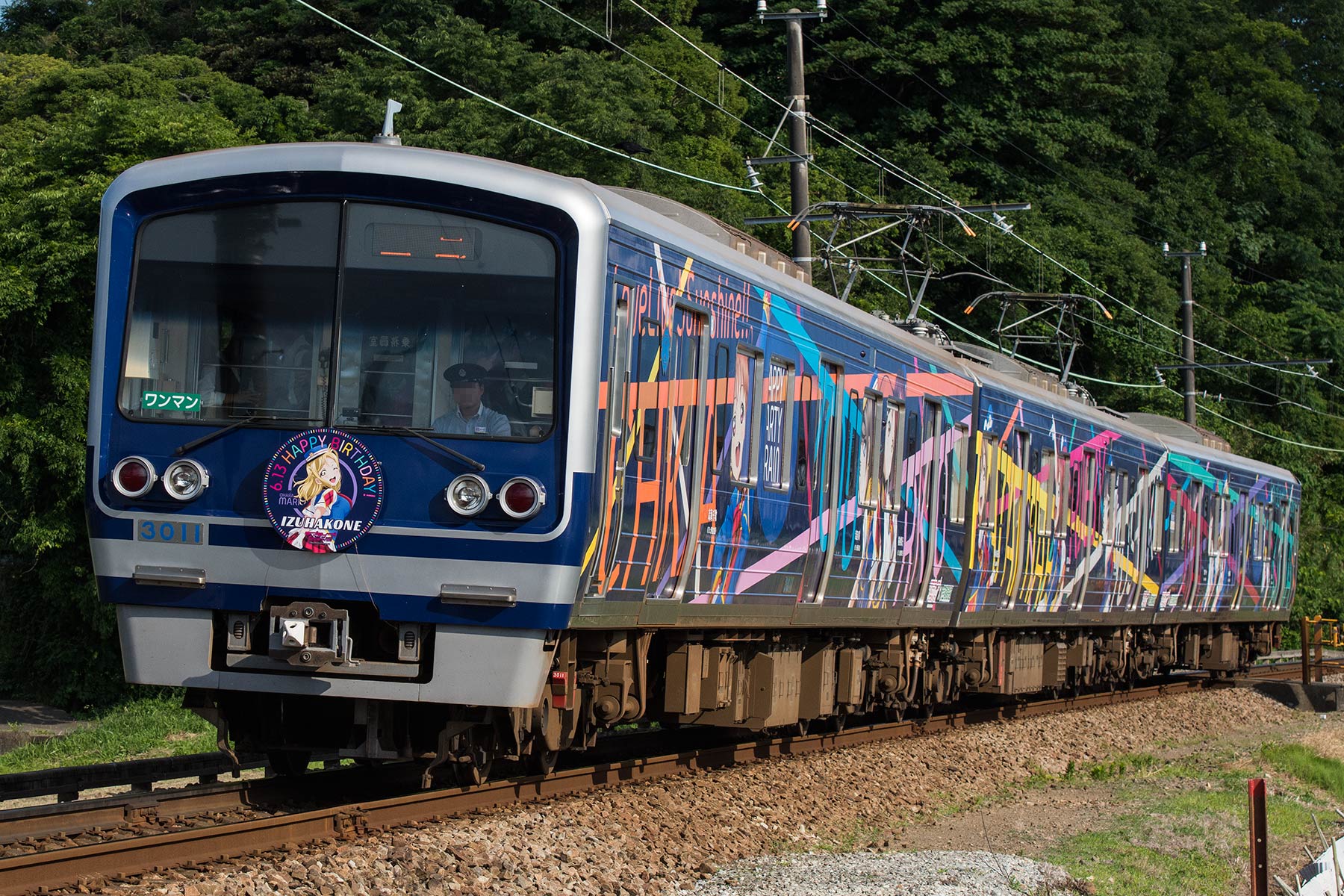 伊豆箱根鉄道 3000系 / 3506F - HAPPY PARTY TRAIN「小原鞠莉」-_d0226909_2372343.jpg