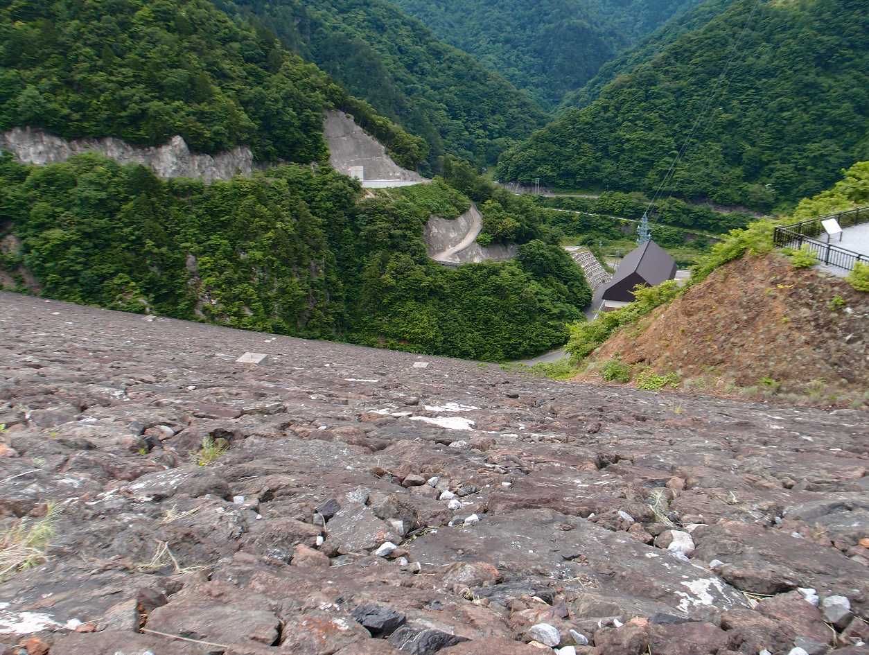e0003910_7375152.jpg