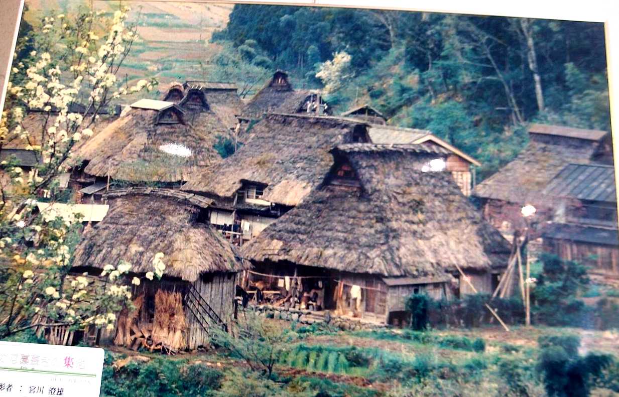 e0003910_8464928.jpg