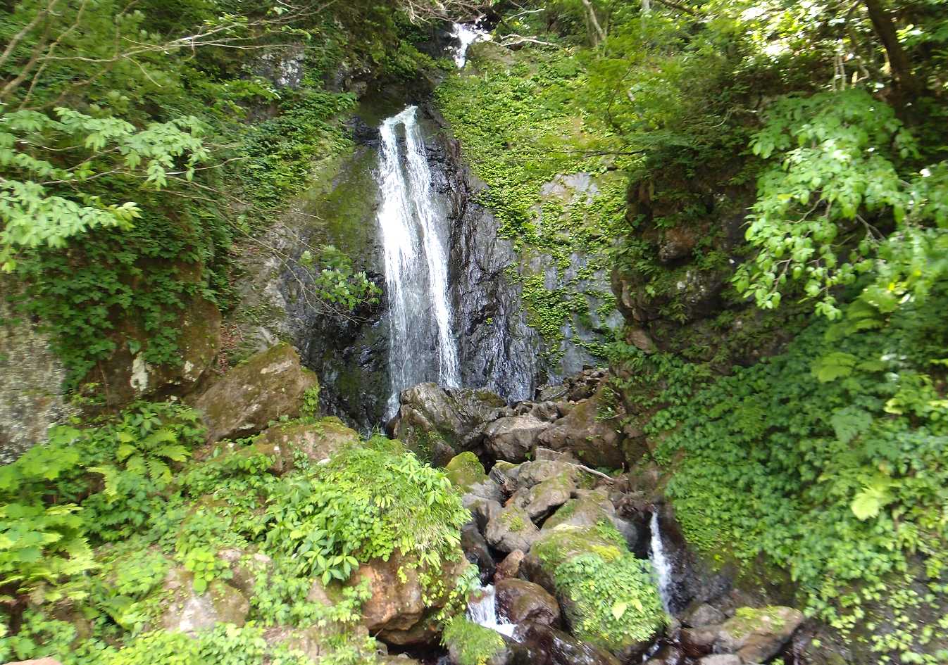 e0003910_8573431.jpg