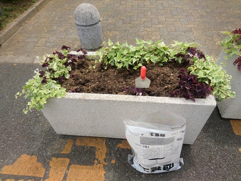 植え替え_f0208812_22422737.jpg
