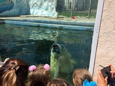 ロシア・ペンザ動物園のベルィの近況  ～ ロシアの飼育下の野生出身個体の繁殖と再配置の問題点_a0151913_1461169.jpg