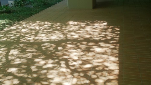 c0023016_03093382.jpg
