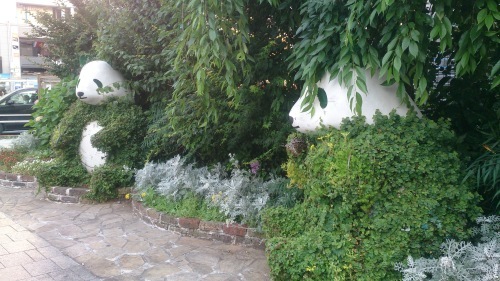 c0023016_11332565.jpg