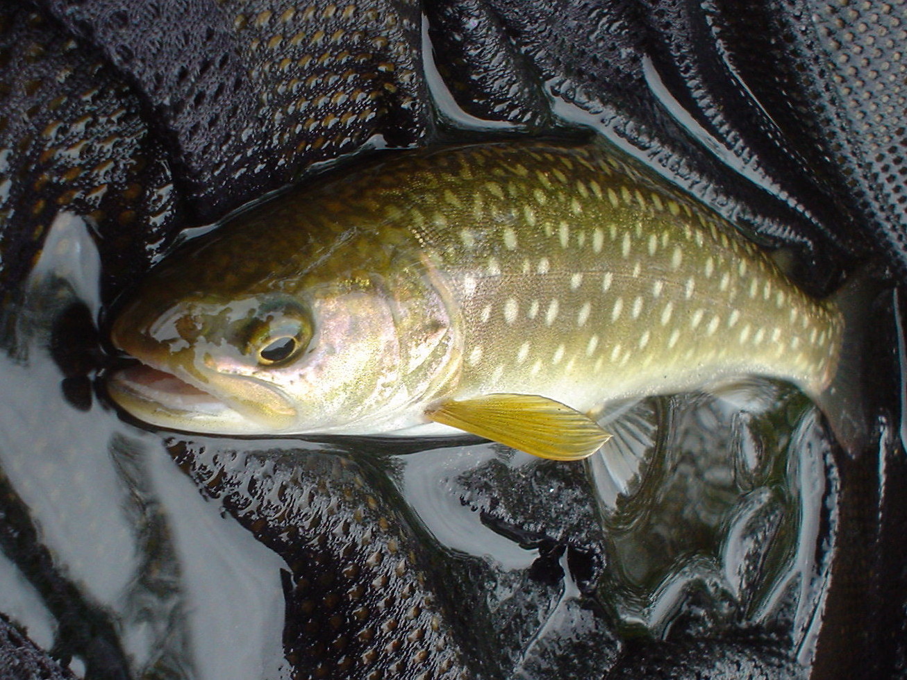 f0280717_16171165.jpg