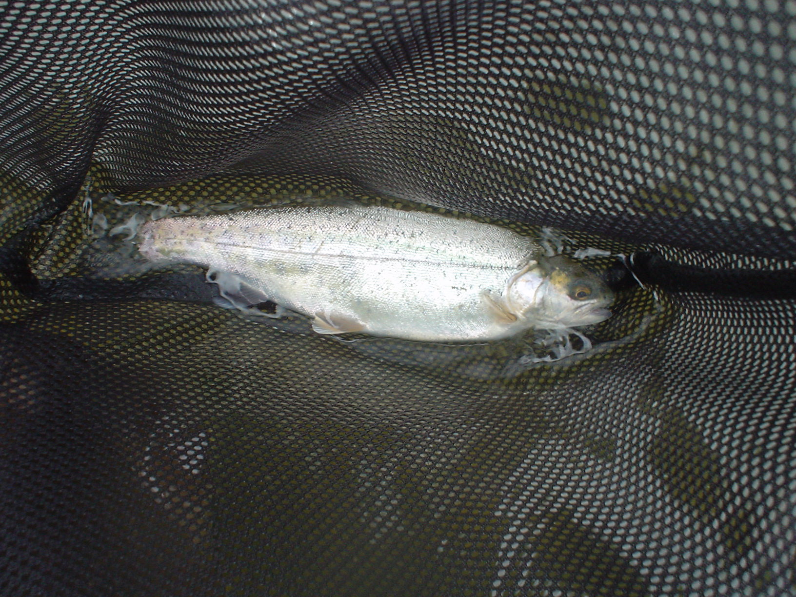 f0280717_16212151.jpg