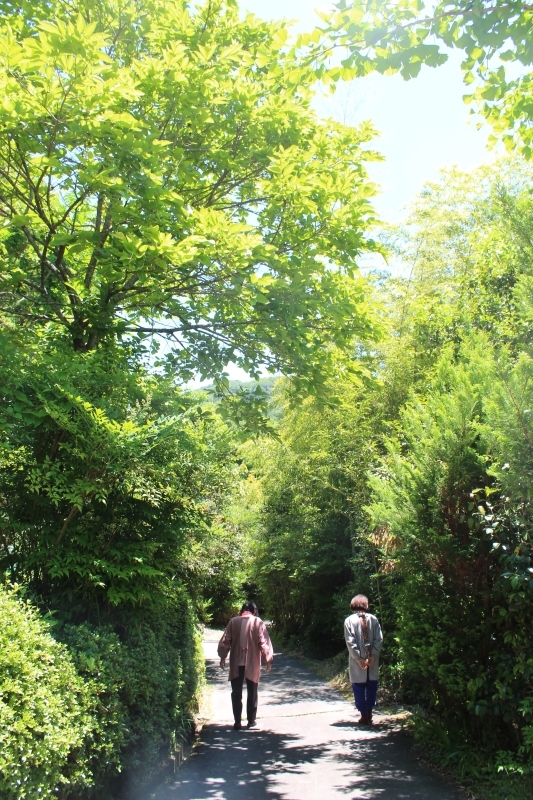 デカス:あれこれ_b0220318_06550187.jpg