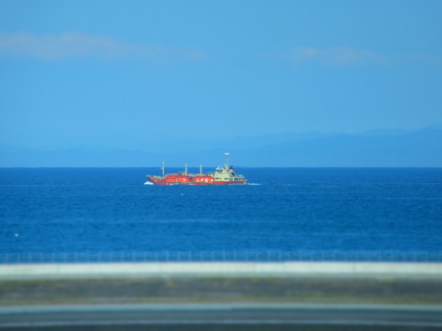a0248728_17382721.jpg