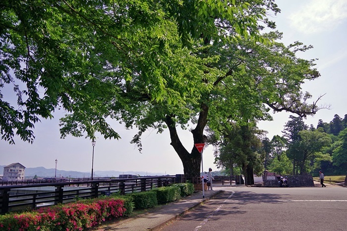 b0312736_07485254.jpg