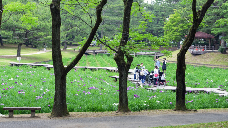 延岡・宮崎　居候の旅 2017 ~ ④_d0246136_22263963.jpg