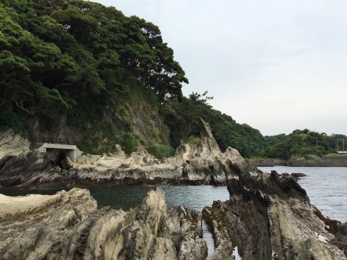 城ヶ島を歩く(1)…県立城ヶ島公園_b0330040_17532674.jpg