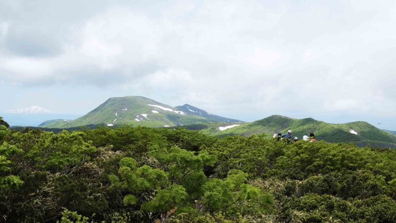 d0347140_07044151.jpg