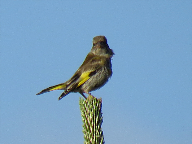 f0214649_05025520.jpg