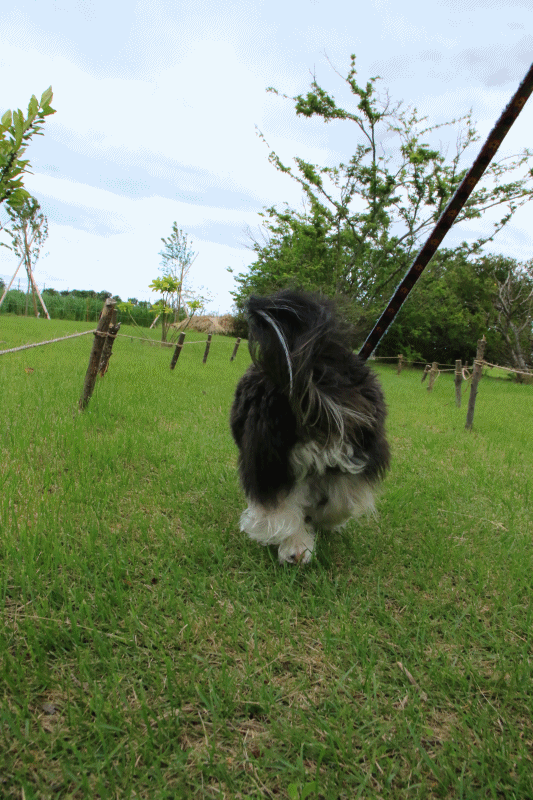 c0145250_09233386.gif