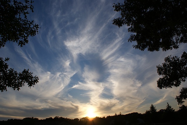 f0362457_23424802.jpg