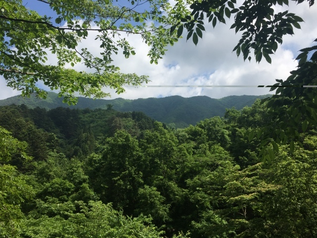 権現山  浅生山  三ッ森北峰_e0268075_16023839.jpg