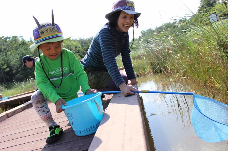 青空ようちえん〔週末〕メダカ池であそぼう！（11/3）生きものを探しに親子でお出かけしよう！_d0363878_18445600.jpg