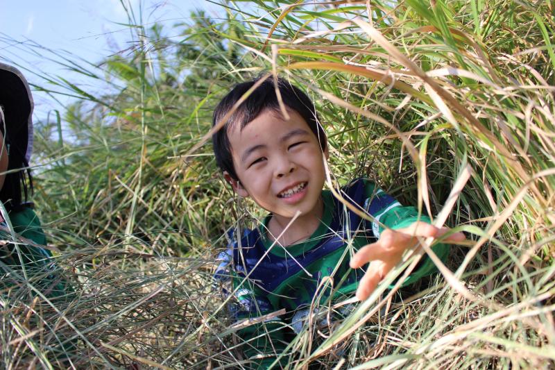 青空ようちえん〔週末〕メダカ池であそぼう！（11/3）生きものを探しに親子でお出かけしよう！_d0363878_18450671.jpg