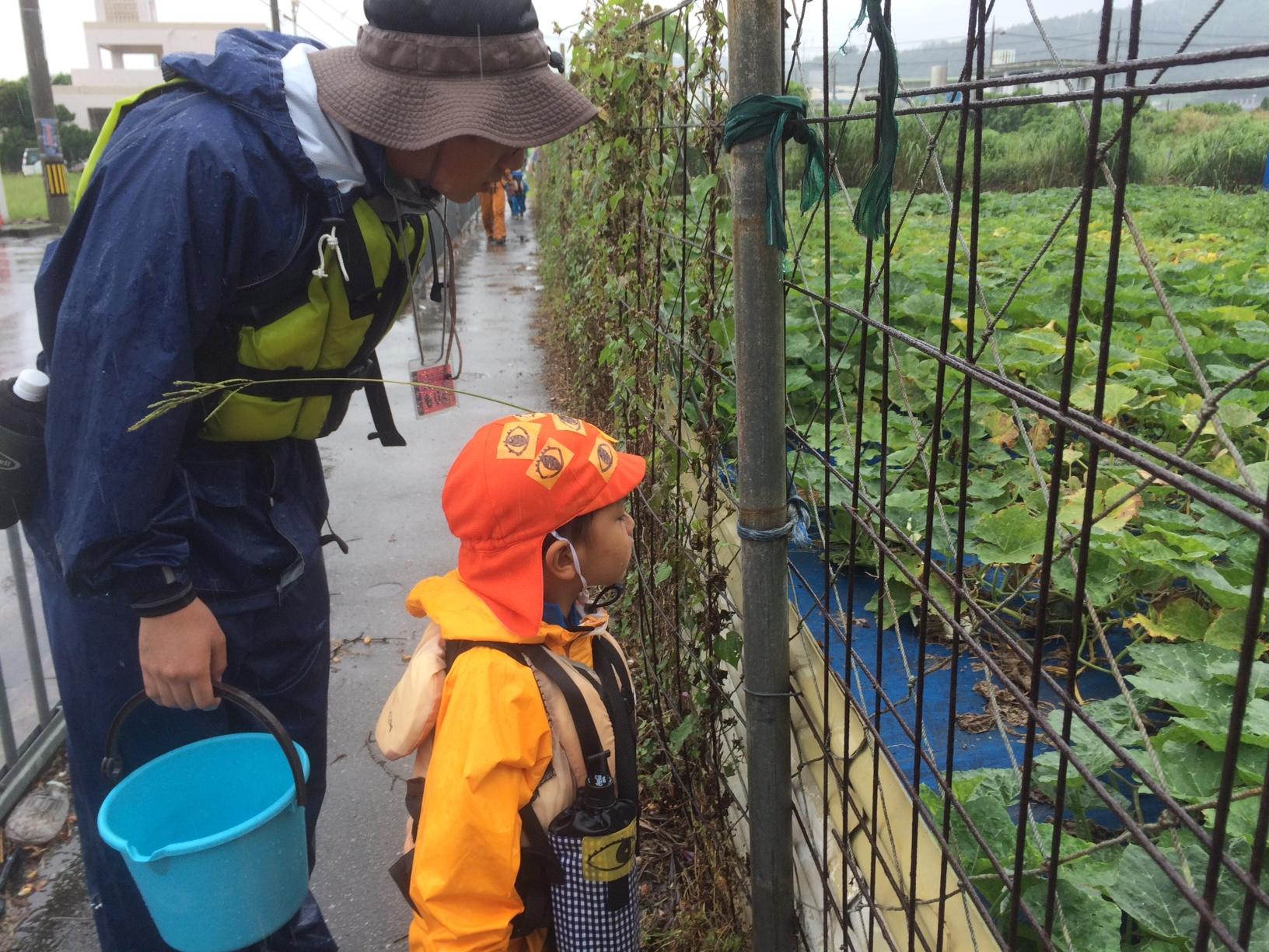 青空ようちえん〔平日〕雨の中…でも、楽しさと発見があふれる時間（5/18）_d0363878_19342327.jpg