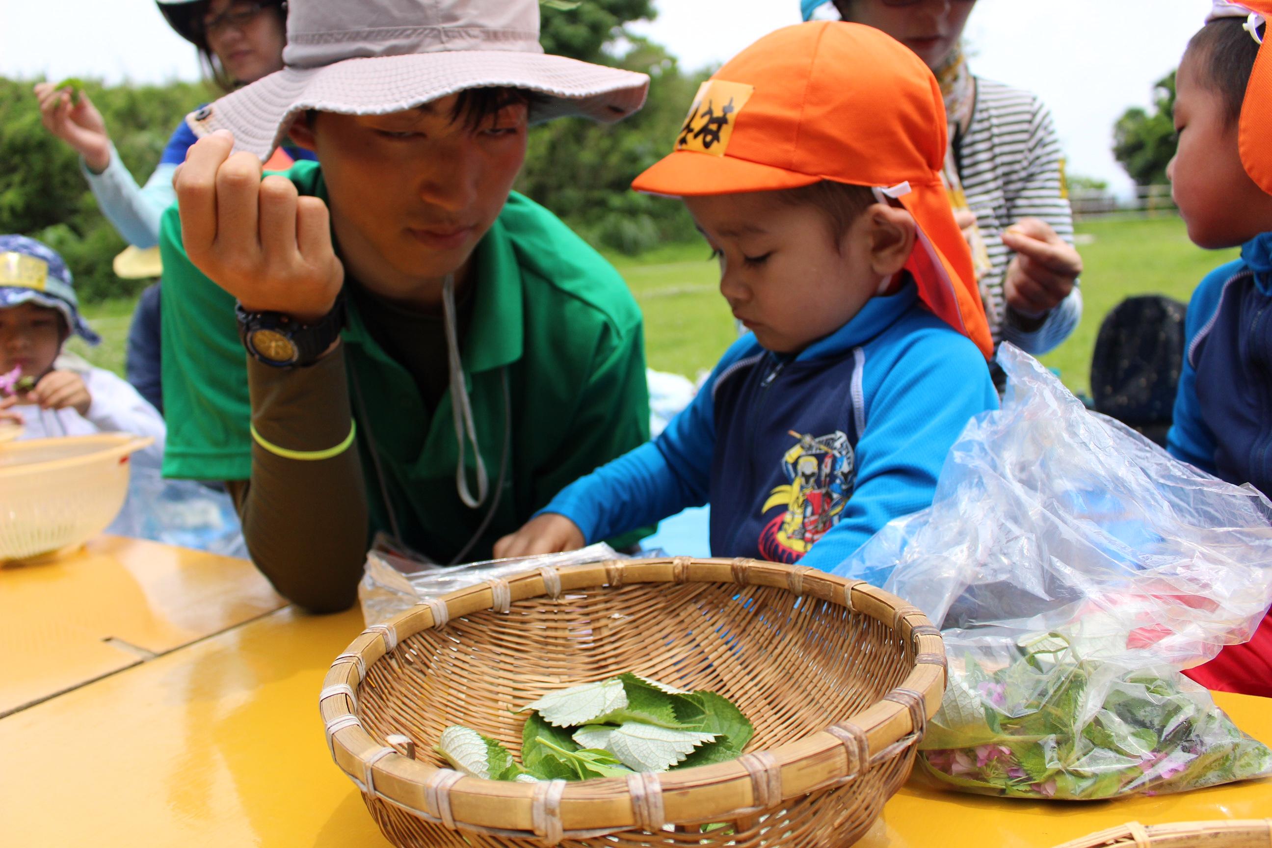 青空ようちえん〔週末〕春の野草料理ハイキング（5/1）_d0363878_19352729.jpg