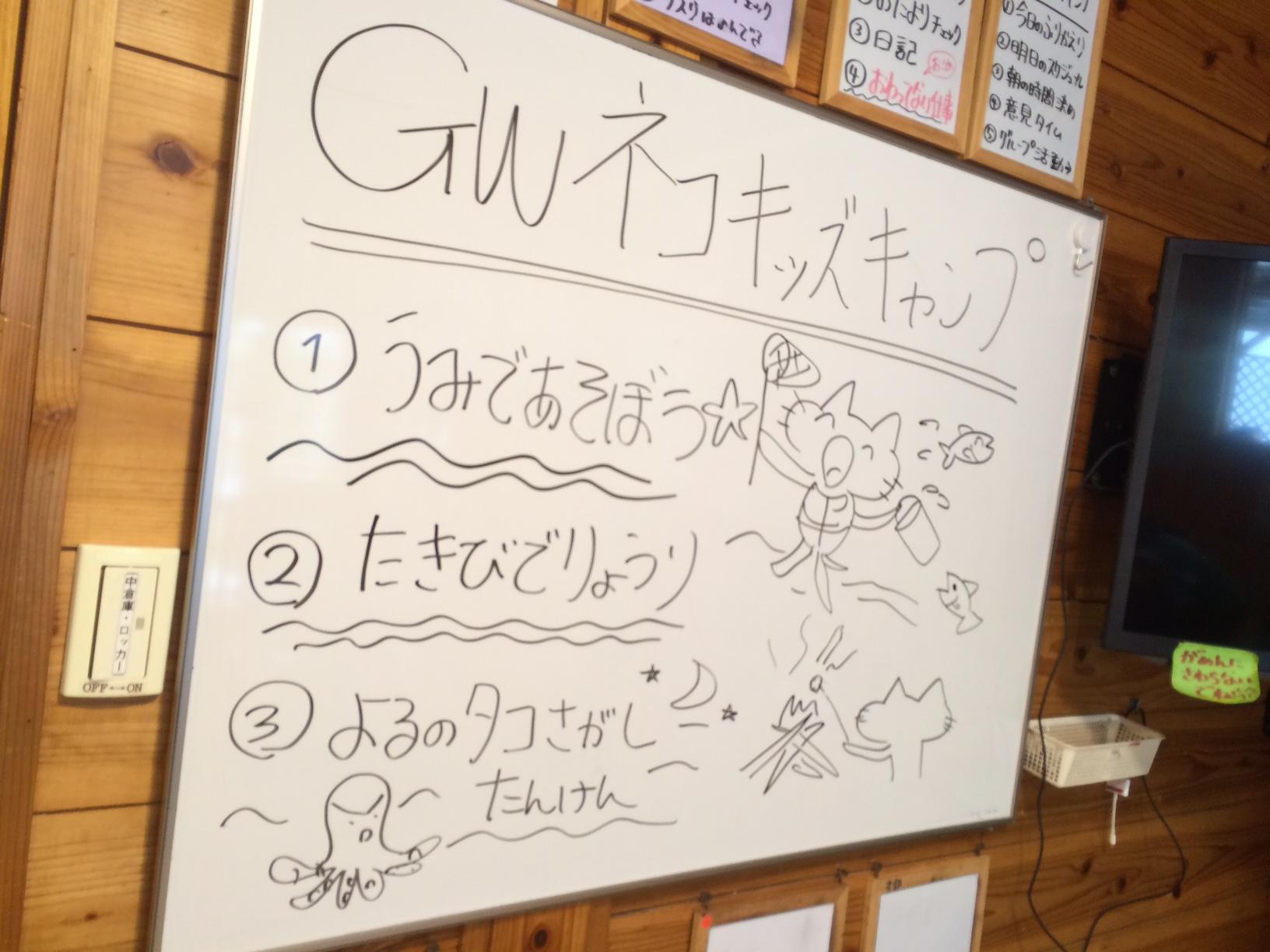 ネコキッズキャンプ〔１日目〕はじめてのお泊まり！海遊び、子どもだけでのキャンプがはじまるよ！_d0363878_19385516.jpg