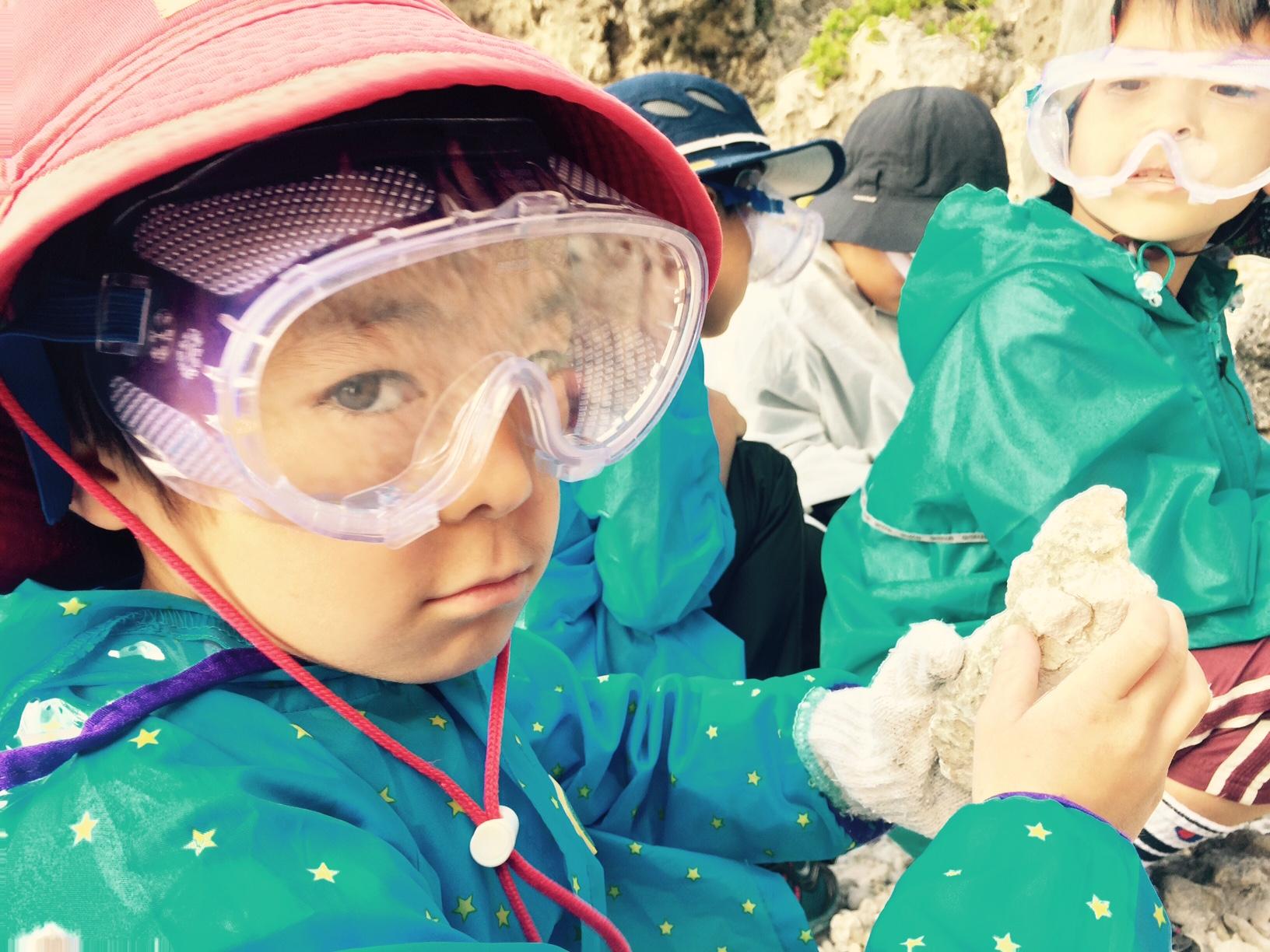 7days冒険学校 2日目 30万年前の化石を見つけたよ これ みんな海の生き物 ねこんちゅ通信 ネコのわくわく自然教室 7days冒険学校 2日目 30万年前の化石を見つけたよ これ みんな海の生き物 ねこんちゅ通信 ネコのわくわく自然教室