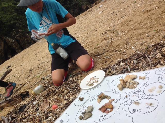 レポート 海とカヌーの自然学校 ３日目 沖縄の成り立ちと海岸の岩石を知ろう ねこんちゅ通信 ネコのわくわく自然教室