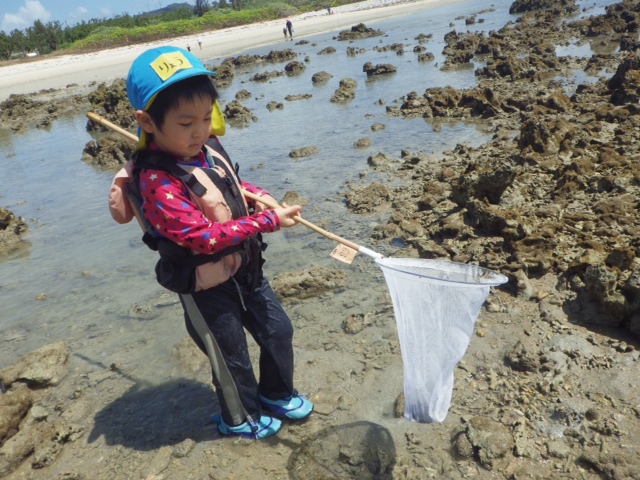 レポート◆青空ようちえん（平日）夏休み明け！海にレッツゴー！（9/4）_d0363878_21411284.jpg