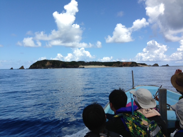 レポート 無人島冒険学校 ６日目 安田ヶ島についたー ねこんちゅ通信 ネコのわくわく自然教室