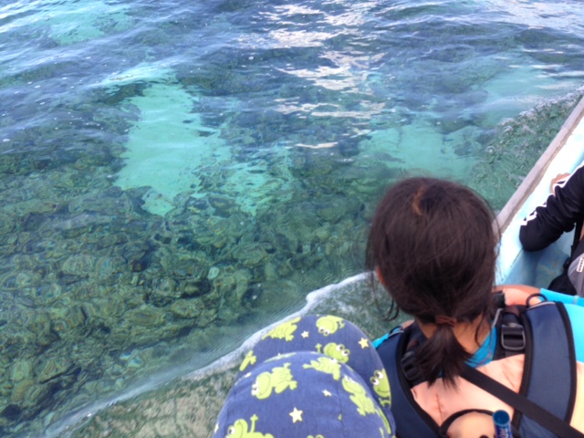 レポート 無人島冒険学校 ６日目 安田ヶ島についたー ねこんちゅ通信 ネコのわくわく自然教室