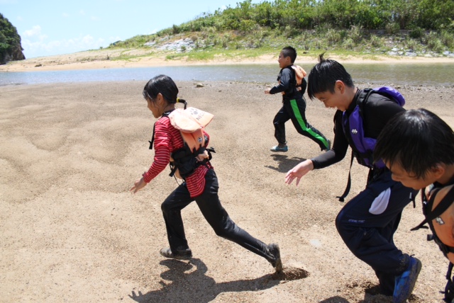 レポート◆無人島冒険学校〔２日目〕ベスト写真集１・ウミカモ飛び込みあそび！（8/10）_d0363878_21471989.jpg