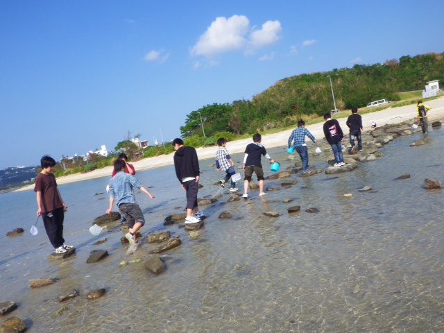 レポート◆泡瀬干潟の自然観察会～修学旅行～（11/7）_d0363878_22102976.jpg