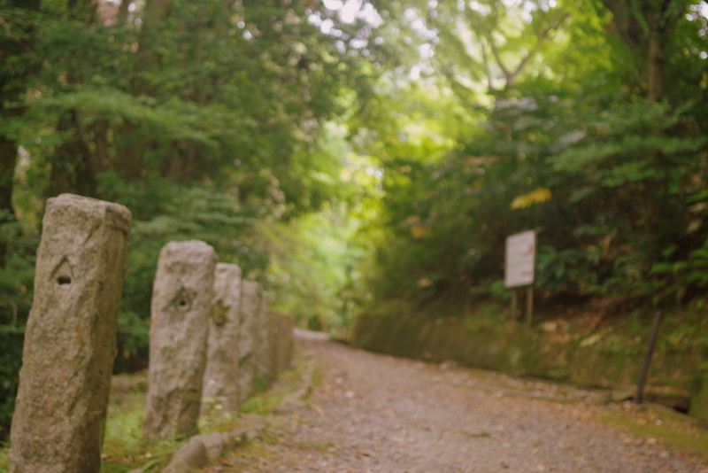 パワースポット　成田山新勝寺_f0328590_12285368.jpg