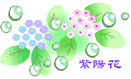 f0137694_919222.gif