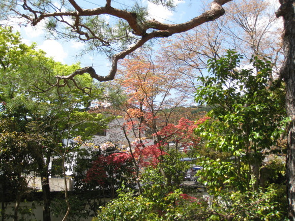f0010195_00451009.jpg