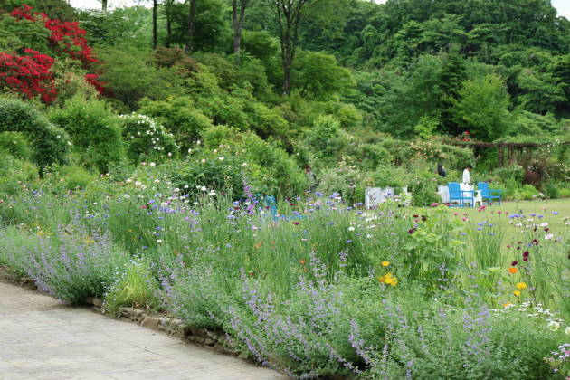 f0075595_23132879.jpg